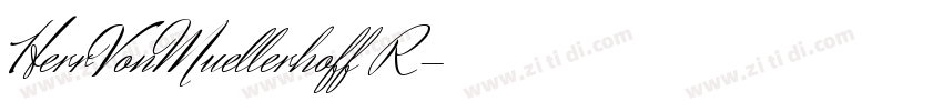 HerrVonMuellerhoff R字体转换